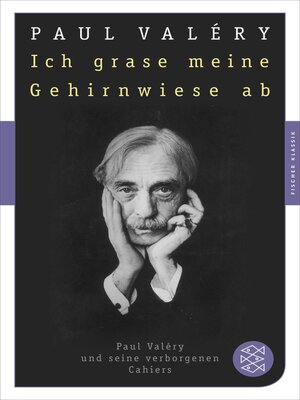 cover image of Ich grase meine Gehirnwiese ab